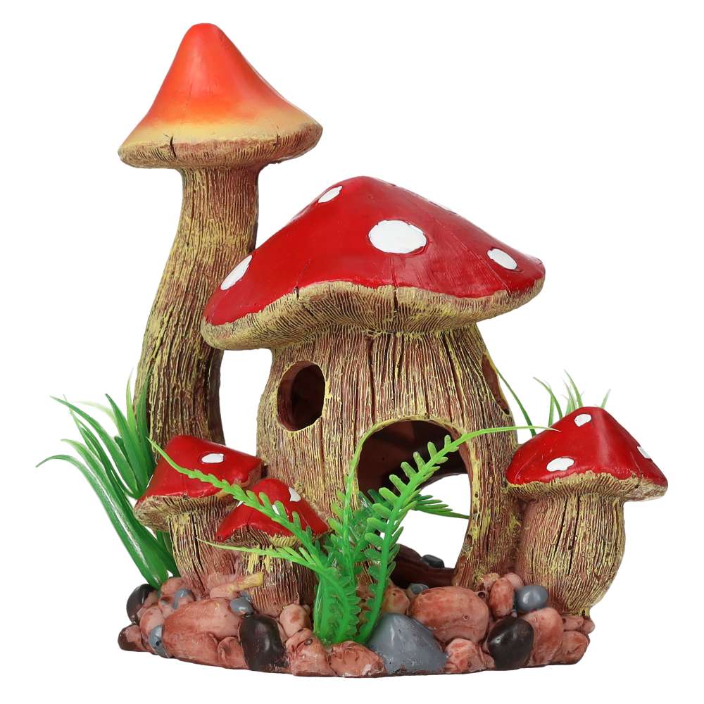 Fungi House