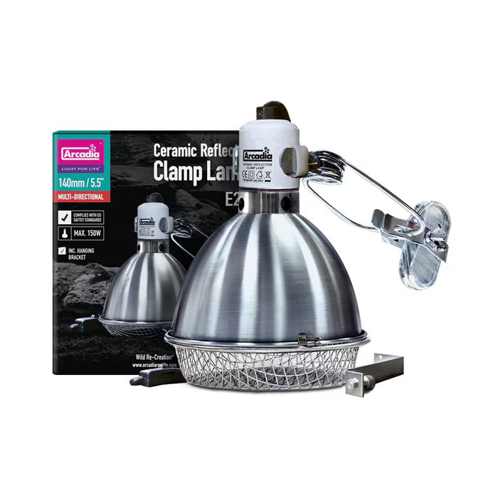 Arcadia Clamp Lamp Stainless Steel