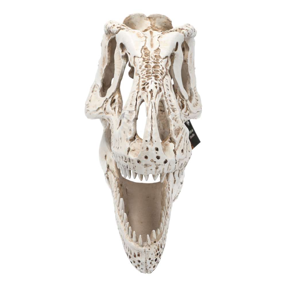 ProRep XL T-Rex Skull