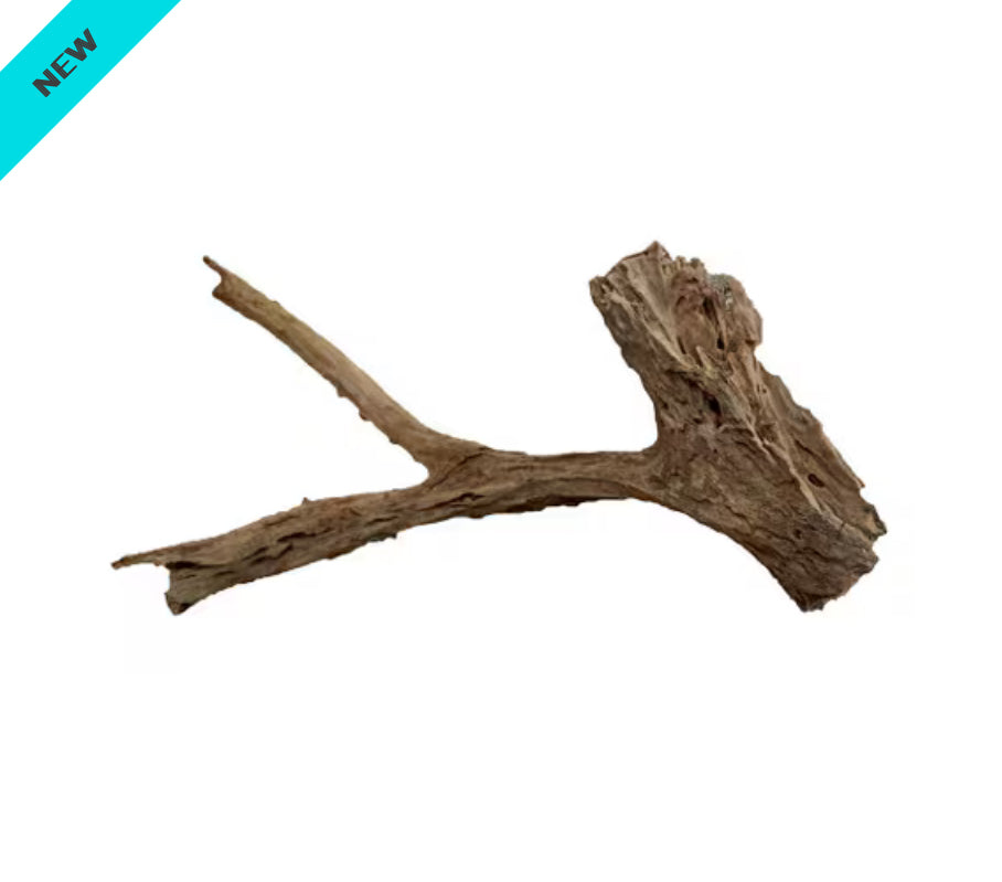 Driftwood Extra Large