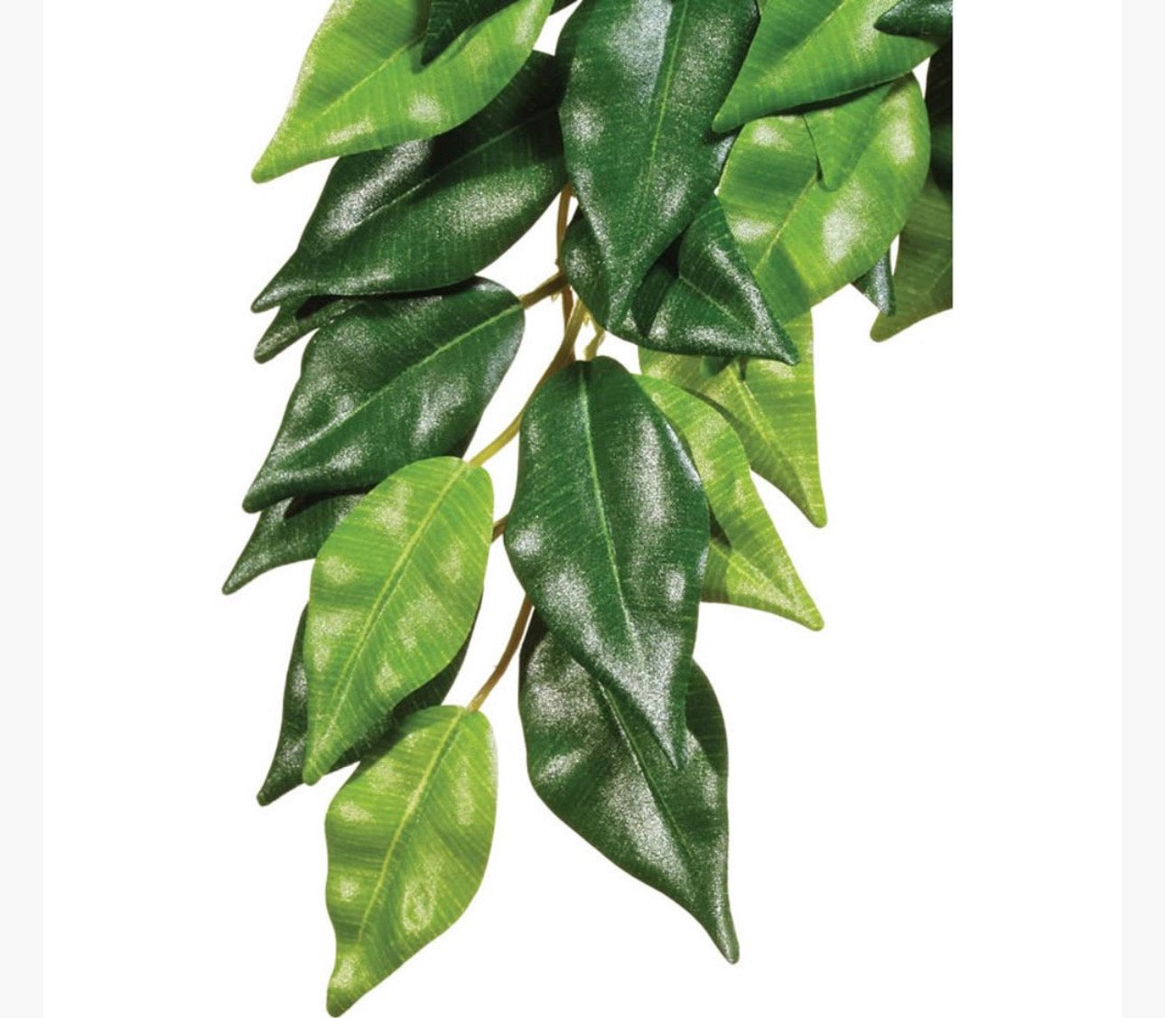 Exo Terra Silk Plant Ficus Large