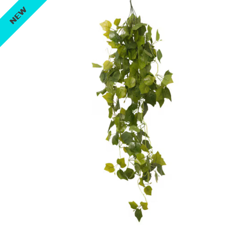 Habistat Hanging Vine Plus, 100cm, Greenery Grape