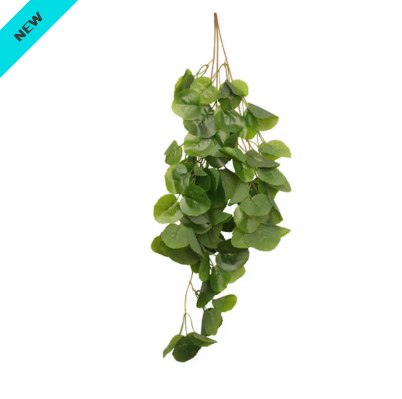 Habistat Hanging Vines, 60cm, Begonia