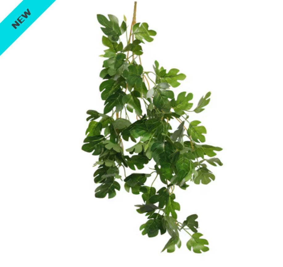 Habistat Hanging Vine, Hyphosis, 60cm