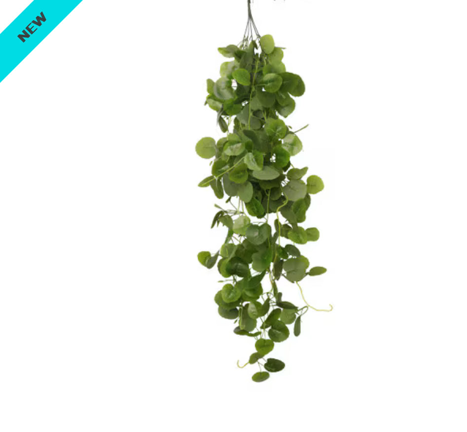 Habistat Hanging Vine Plus, 100cm, Begonia