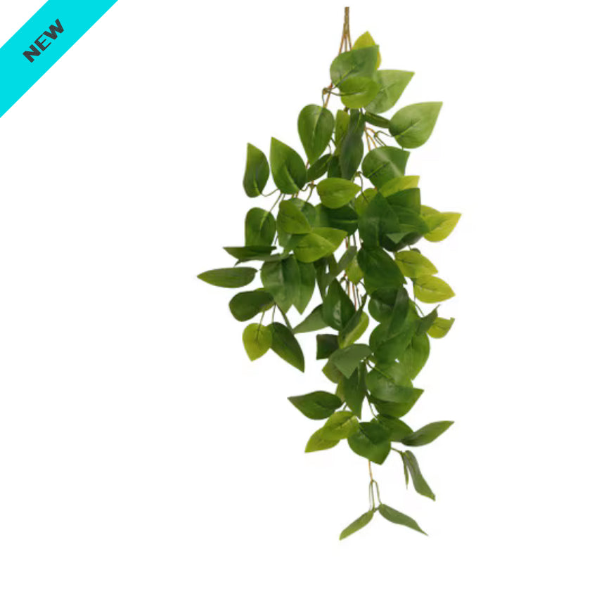 Habistat Hanging Vines, 60cm, Forever Green