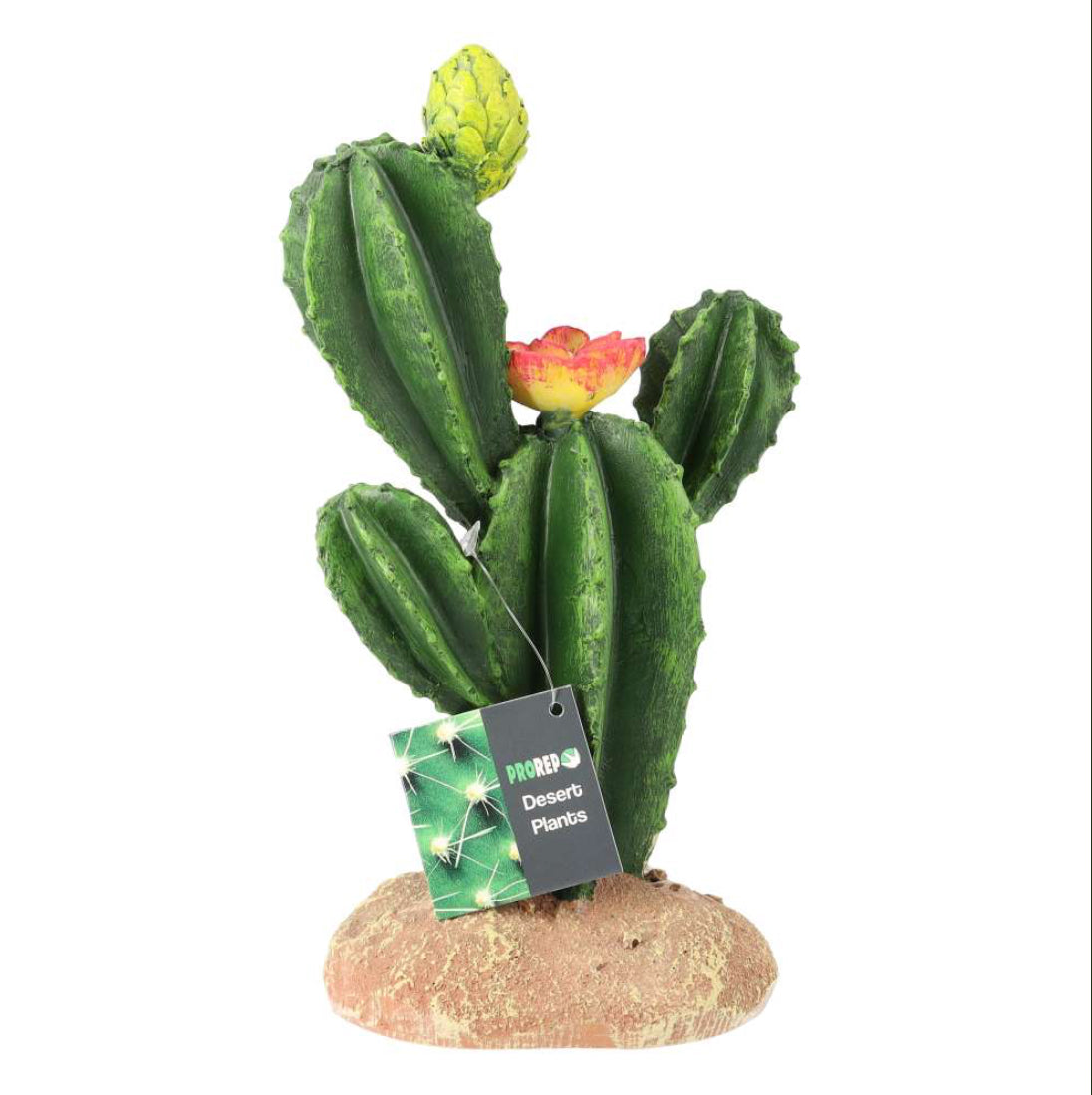 PR Flowering Cactus Medium 16.5x10.5x22.5cm