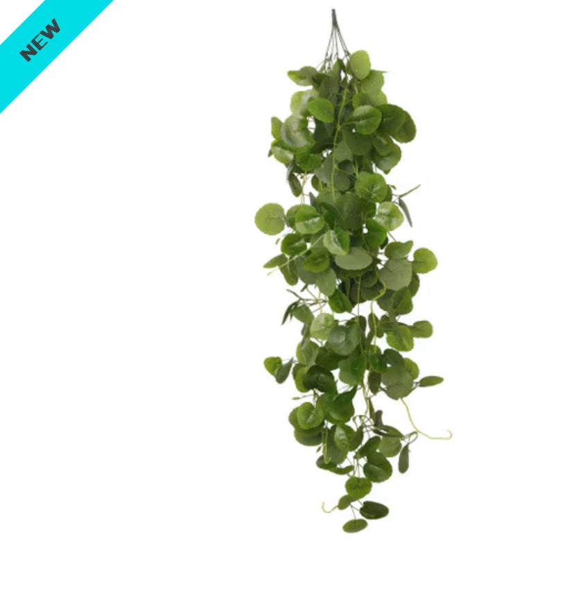 Habistat Hanging Vine Plus, 100cm, Sweet Potato