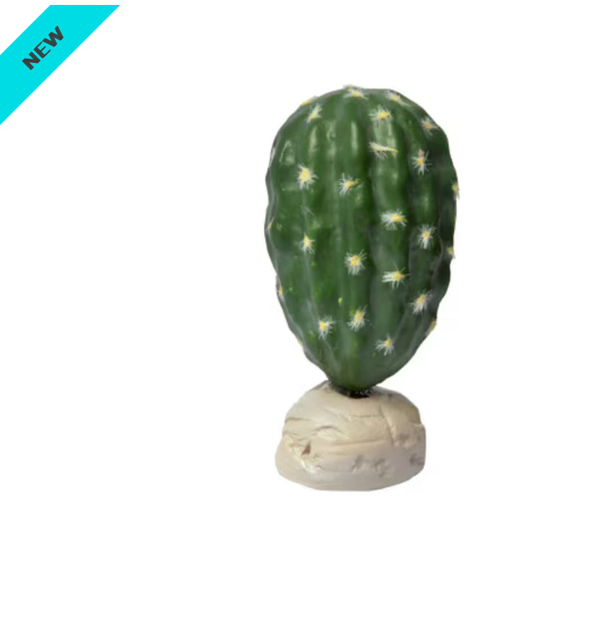 Habistat Cacti Stenocereus