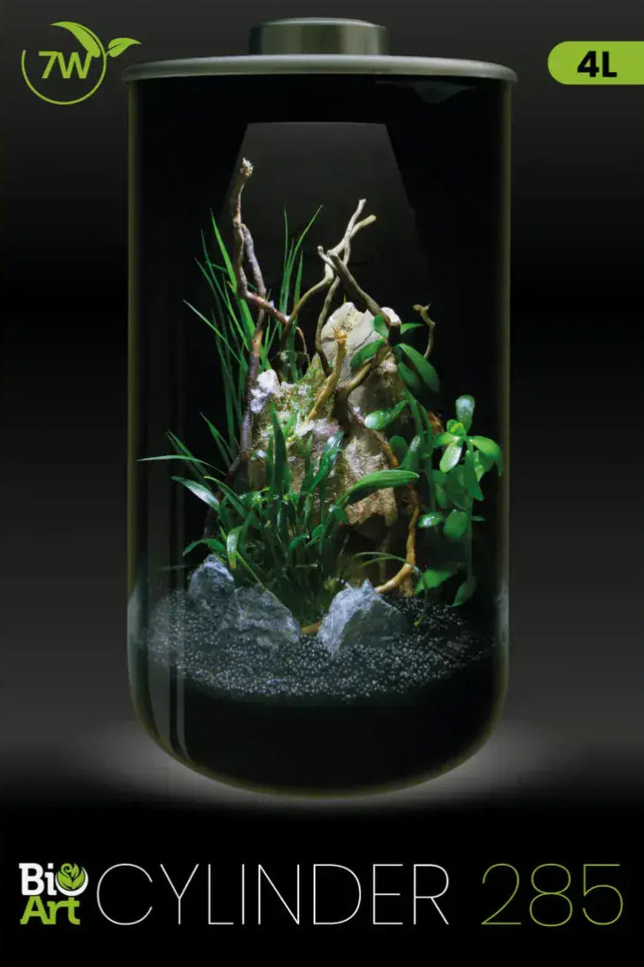 BioArt Cylinder Terrarium 285mm
