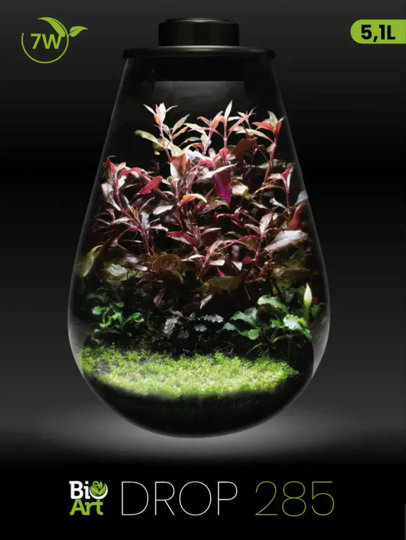 BioArt Drop Terrarium 285mm