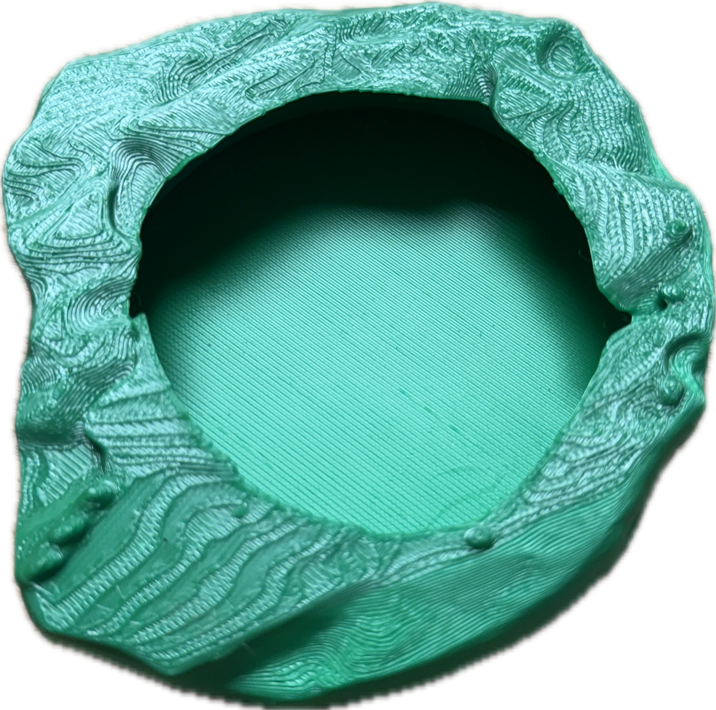 Mealworm Dish 3d Printed