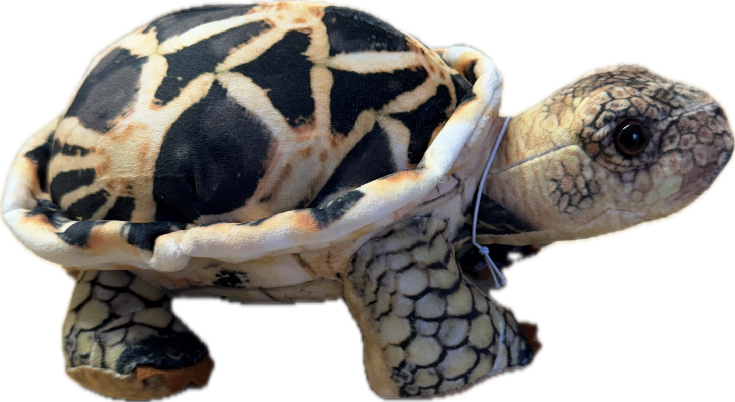 Star Tortoise Plushie