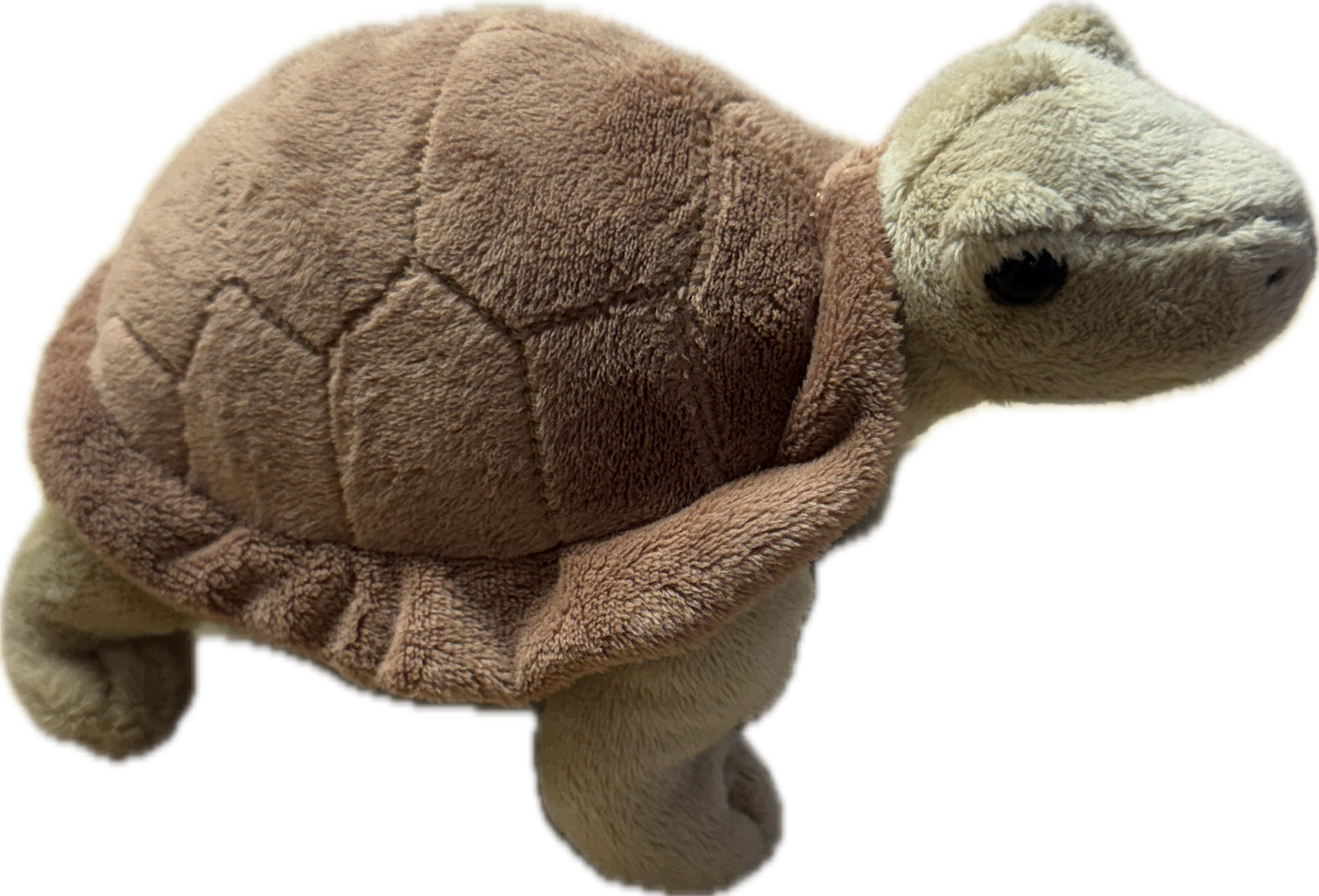 Tortoise Plushie