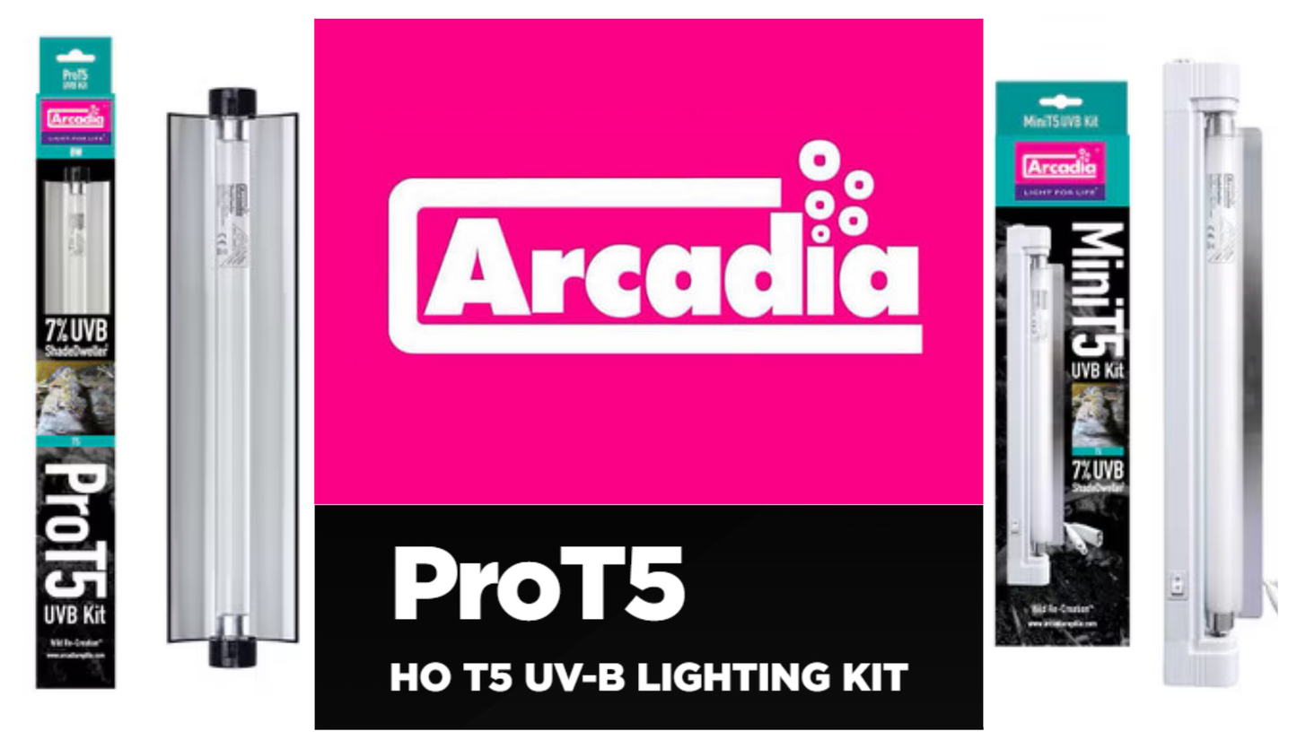 Arcadia UVB Kits