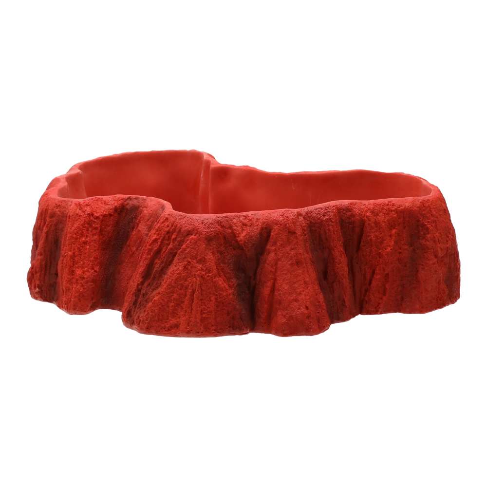 Beardie Billabong Large