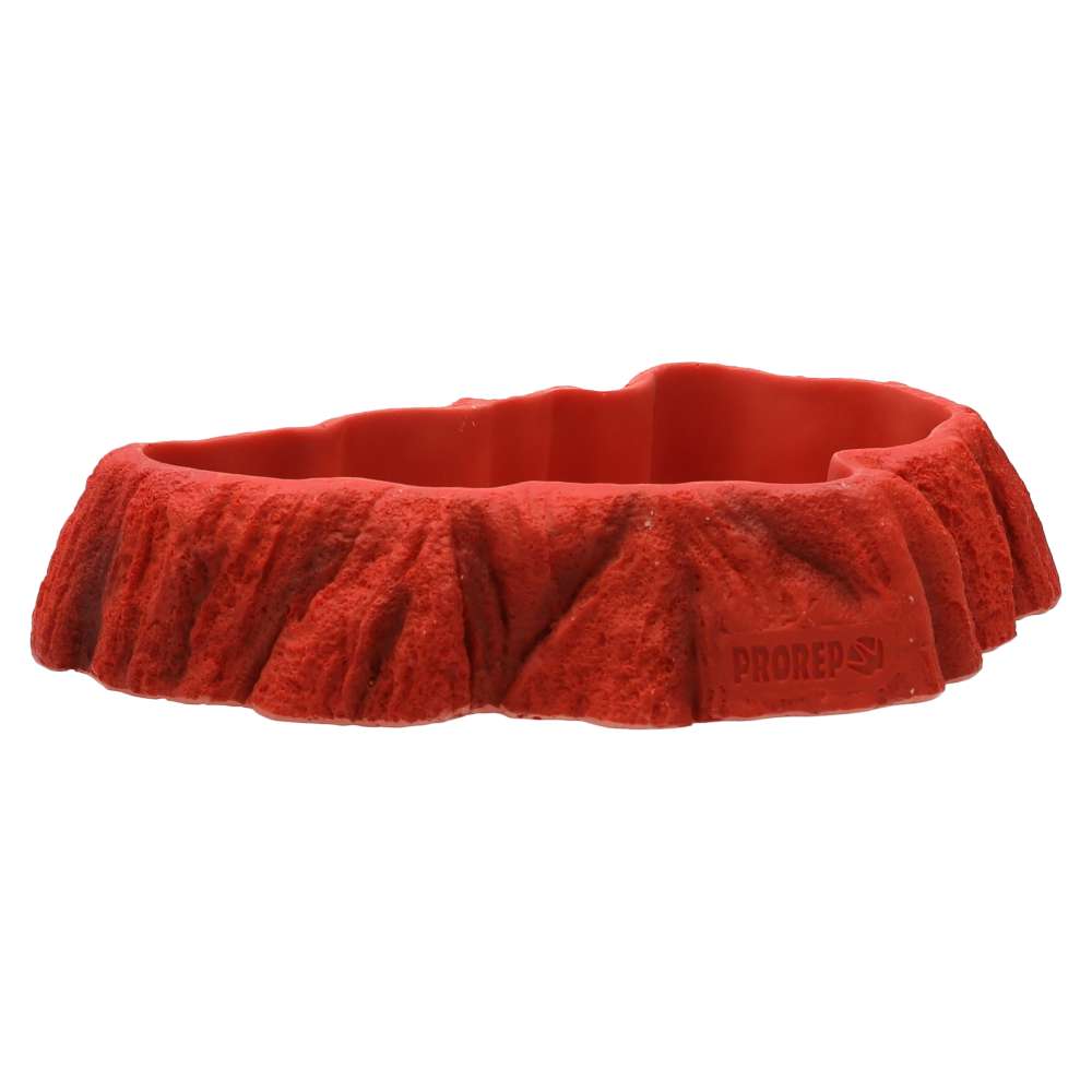 PR Beardie Tucker Feed Dish 203x125x40mm