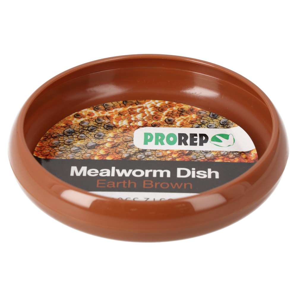 ProRep Mealworm Dish Earth Brown 75mm