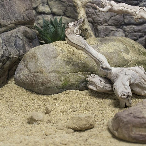 Prorep Leo Life Leopard Gecko Substrate 10kg