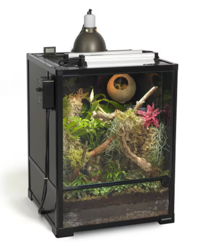 Crested Gecko Starter Kit