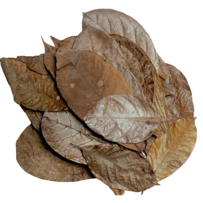 HabiStat Leaves Mixed Leaves x 30