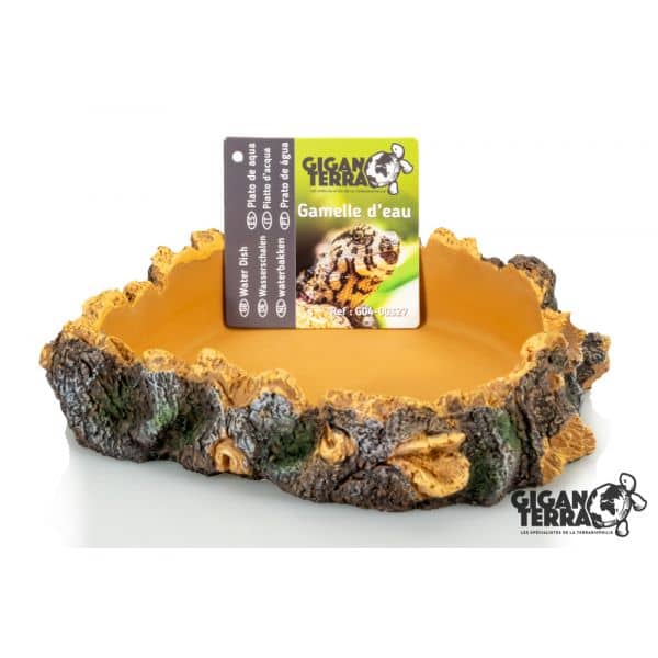 GiganTerra Corner Root Dish M - 15cm