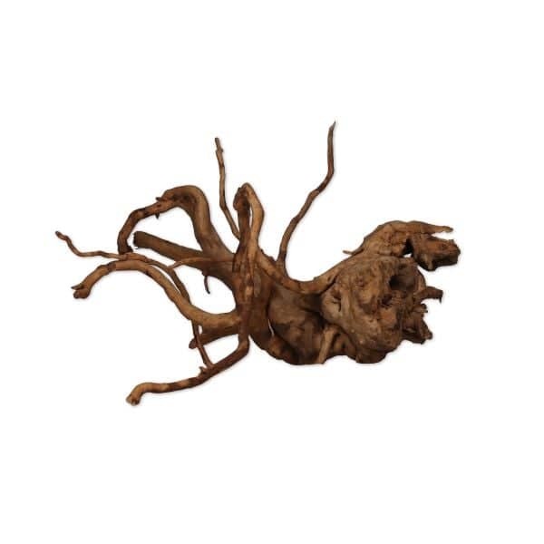 Rare Red Vine