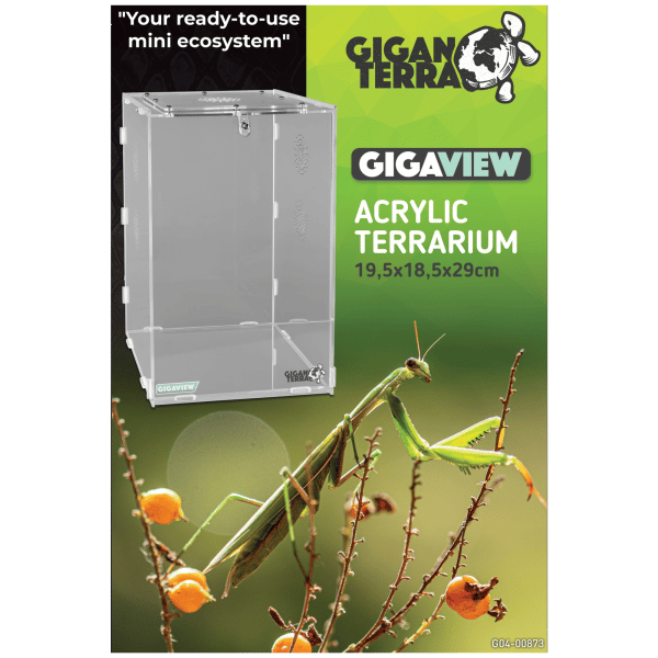 Giganterra Gigaview Large