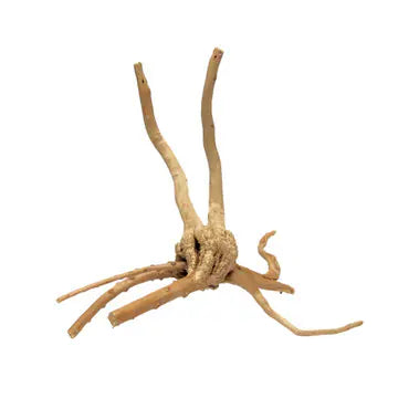Habistat Spider Root Extra Small