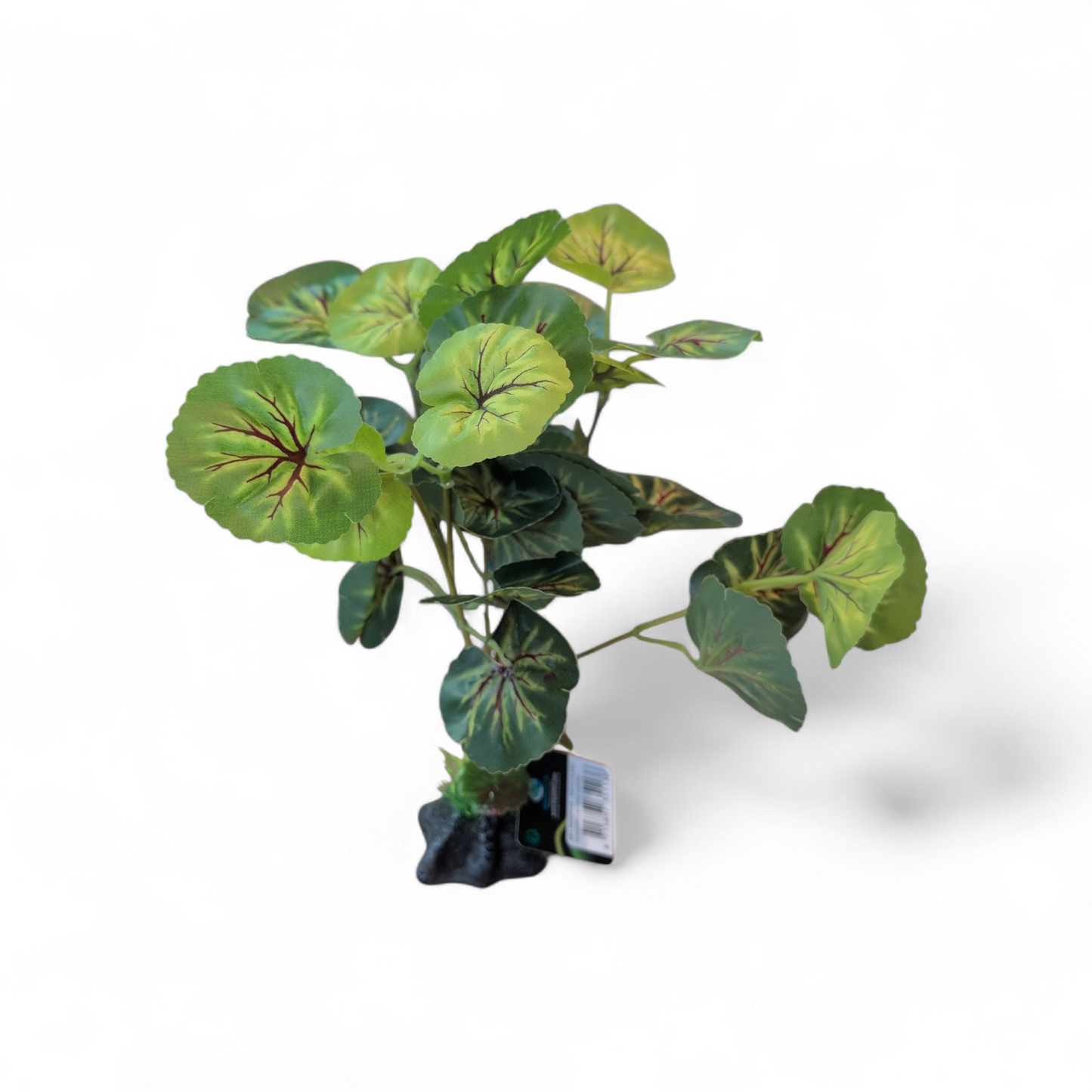 Repto Plant Standing Round Leaves