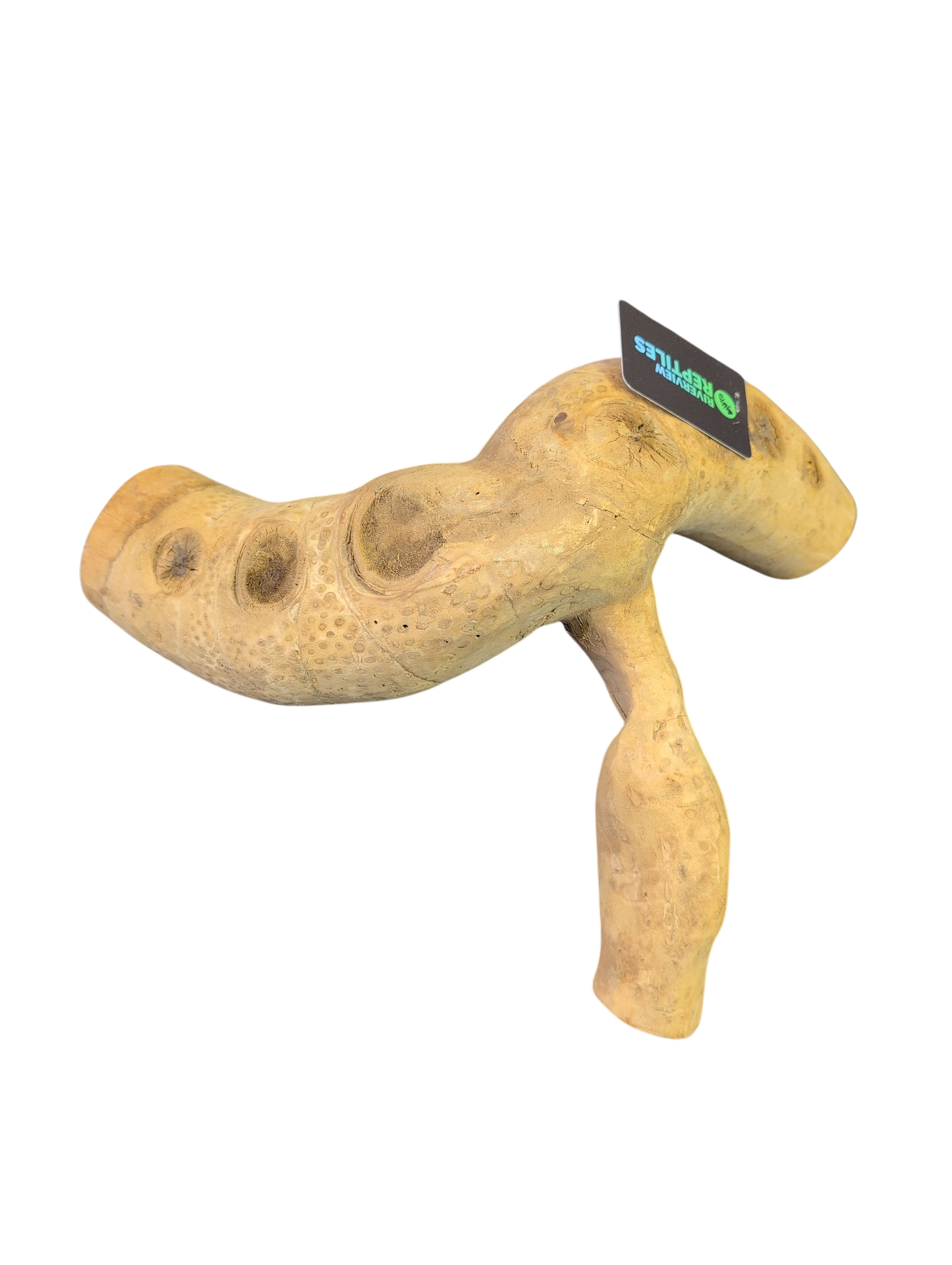 Bioherp Bamboo Root Medium