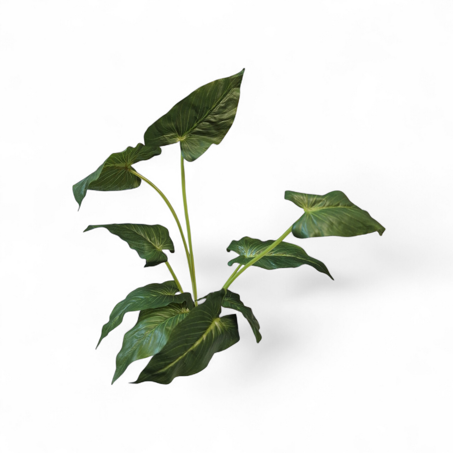 Repto Plant Standing Elephant Ear