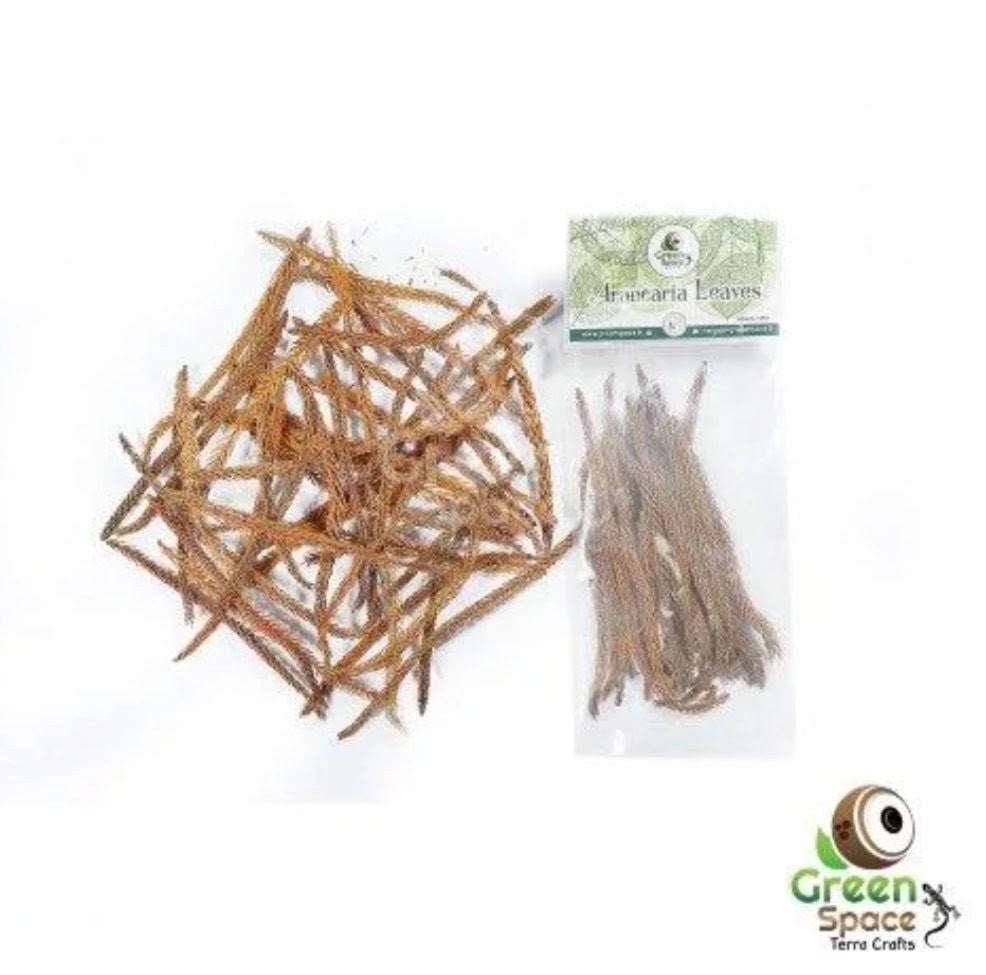 GreenSpace Leaf Litter