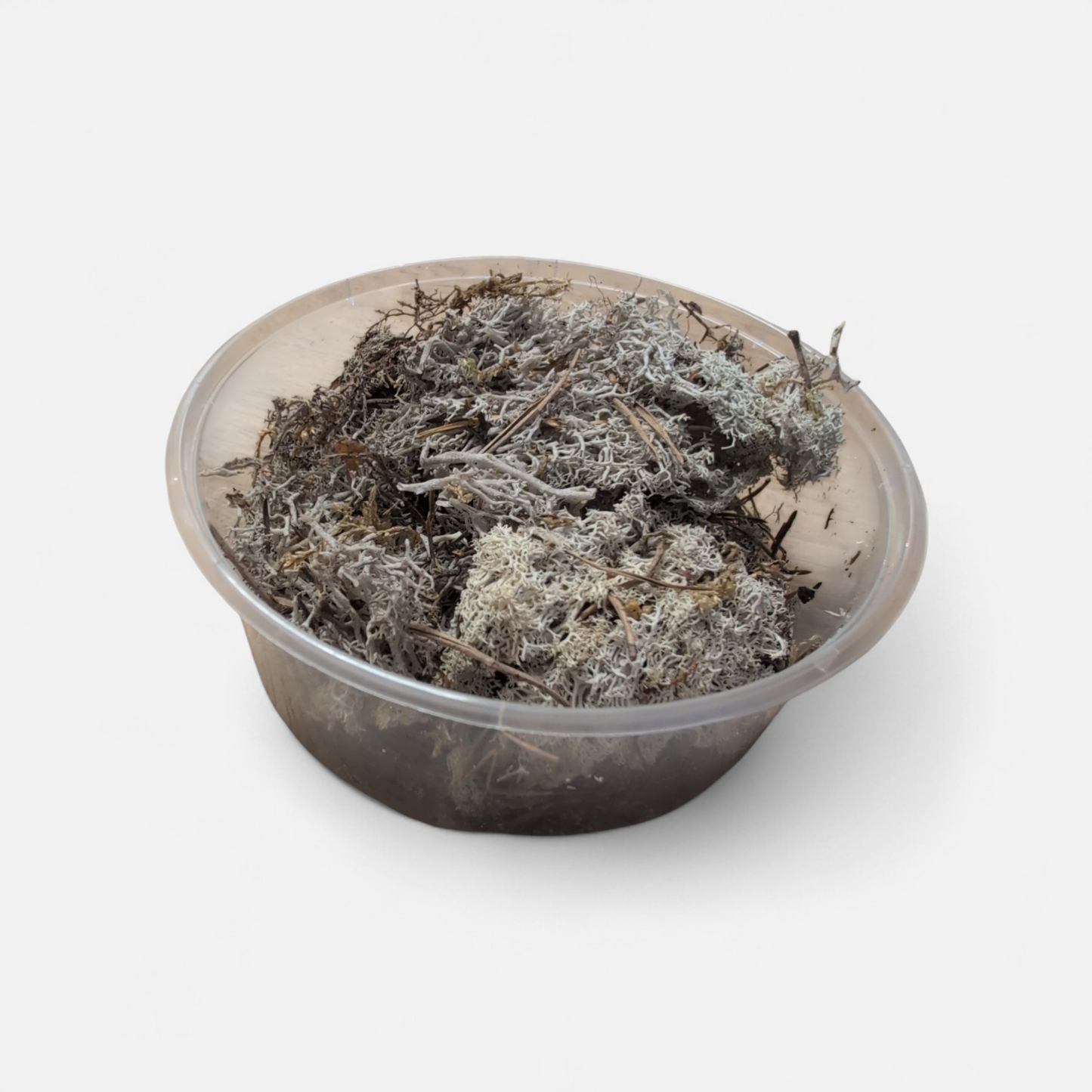 Riverview Reptiles Reindeer Moss 15g