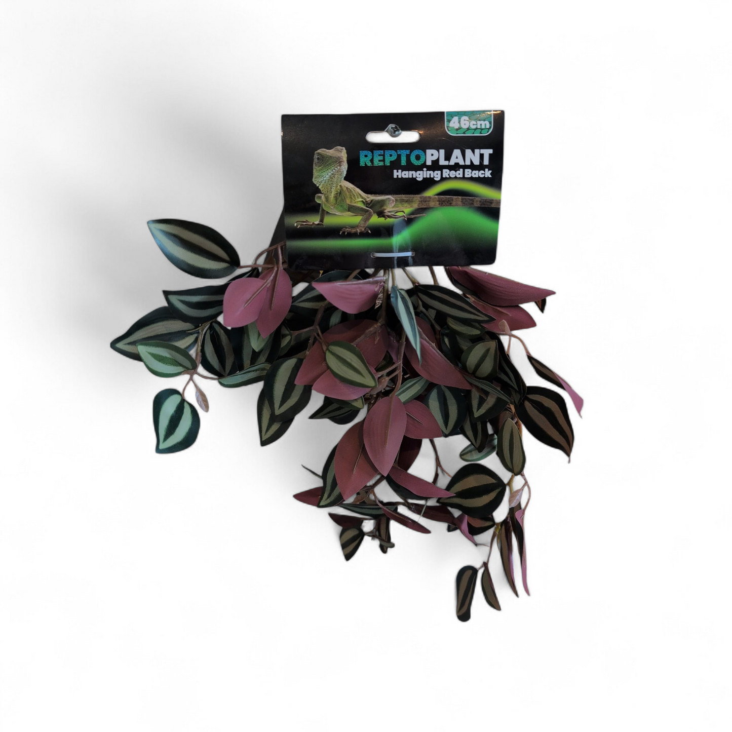 Repto Plant Hanging Red Back