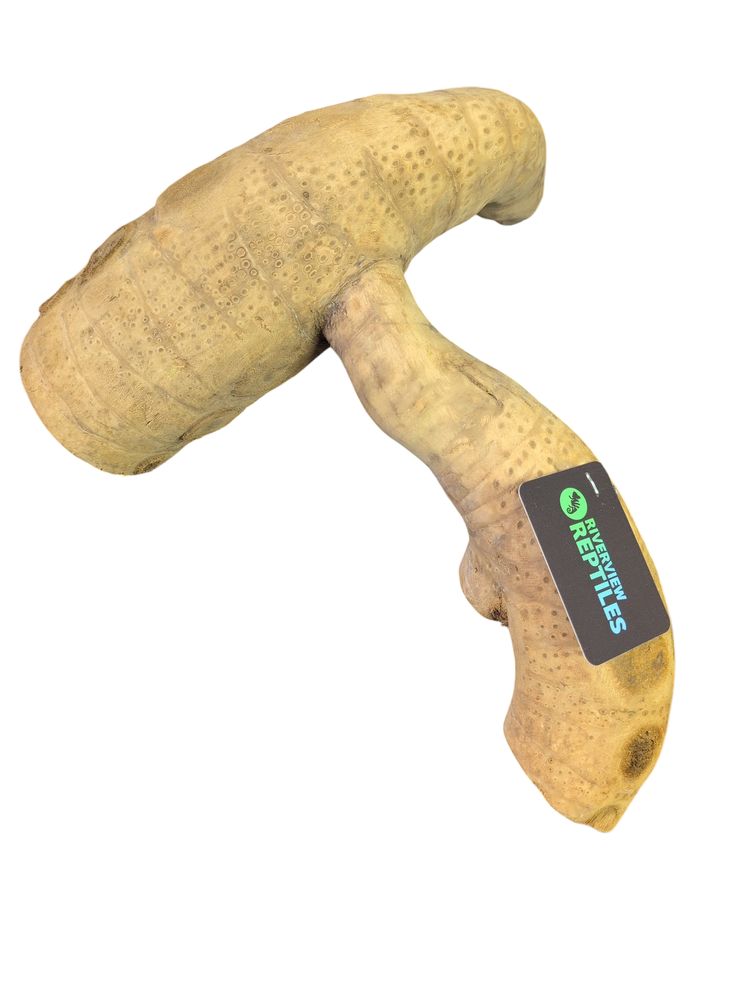 Bioherp Bamboo Root Medium