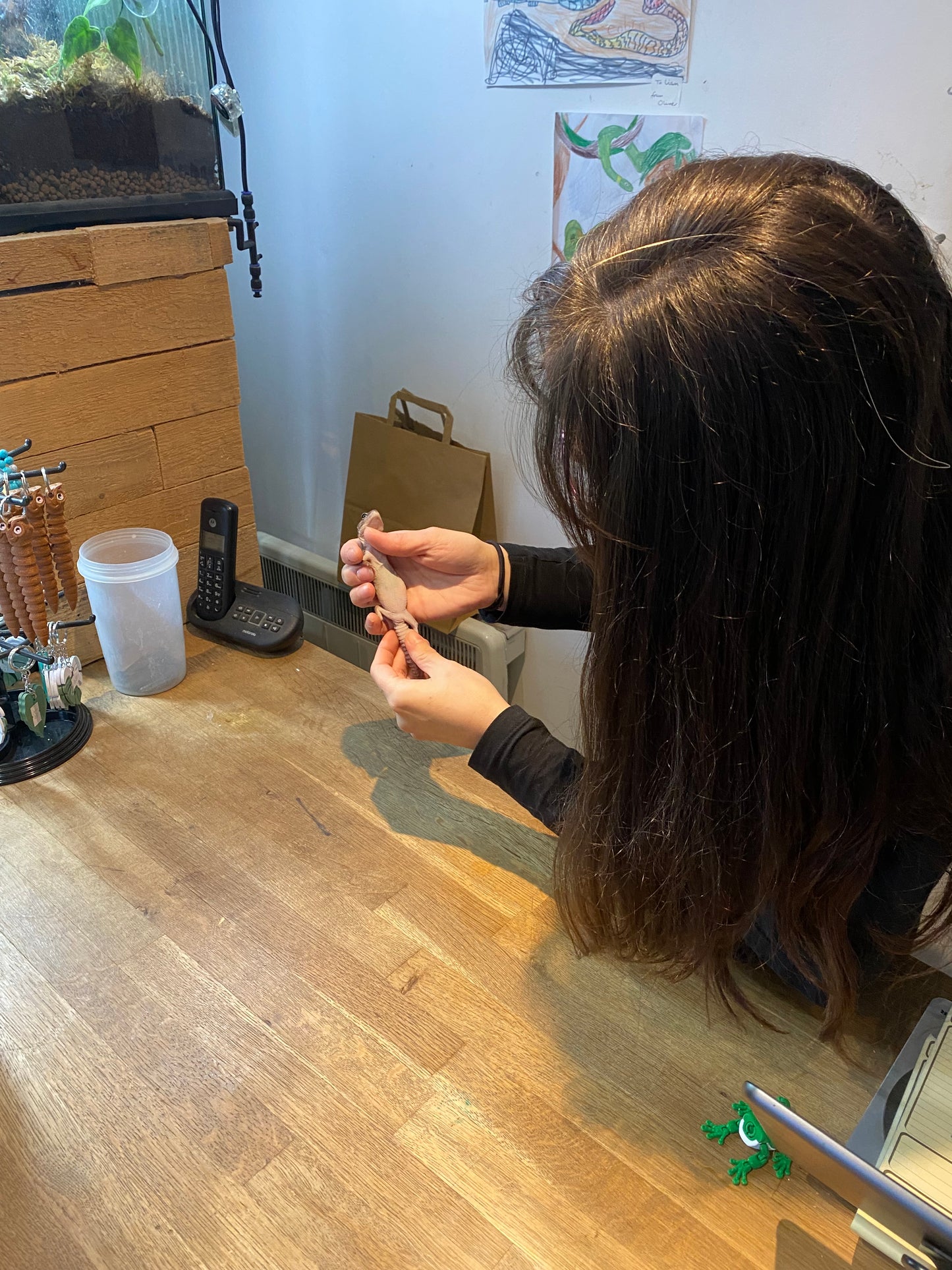 Reptile Heath Check- Sileby