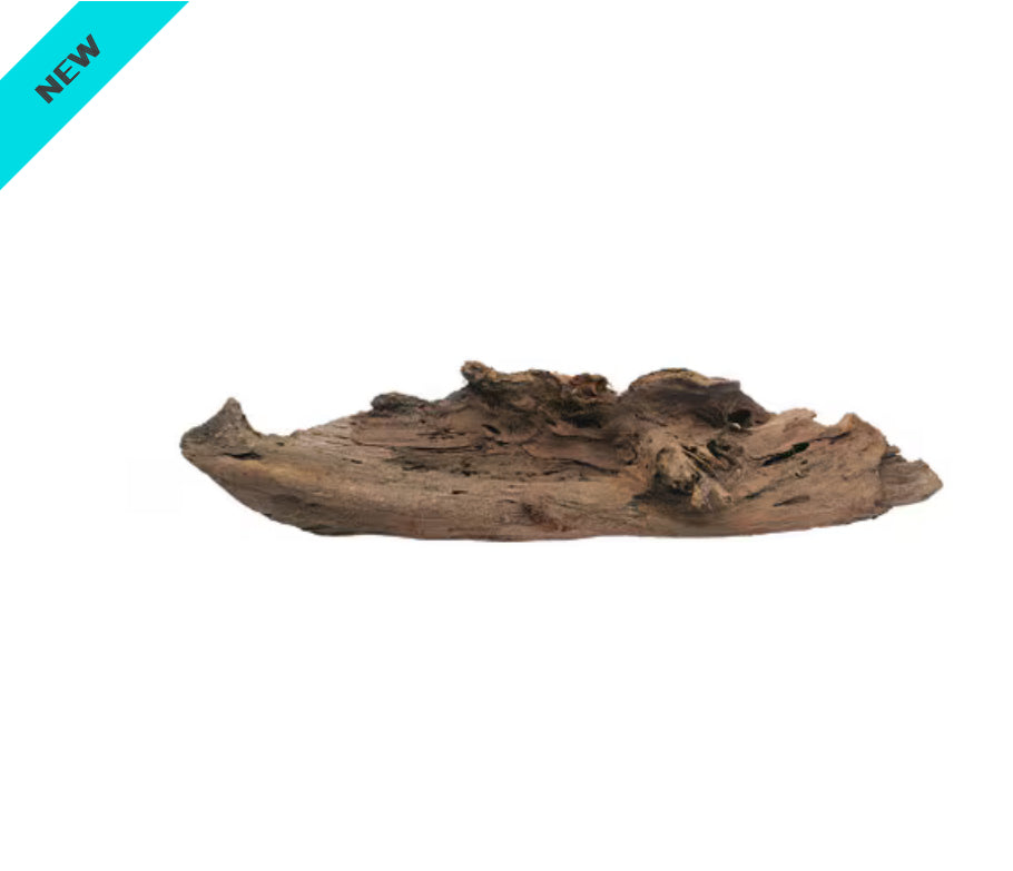Driftwood Large