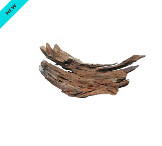 Driftwood Medium