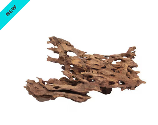 Dragon Wood Medium