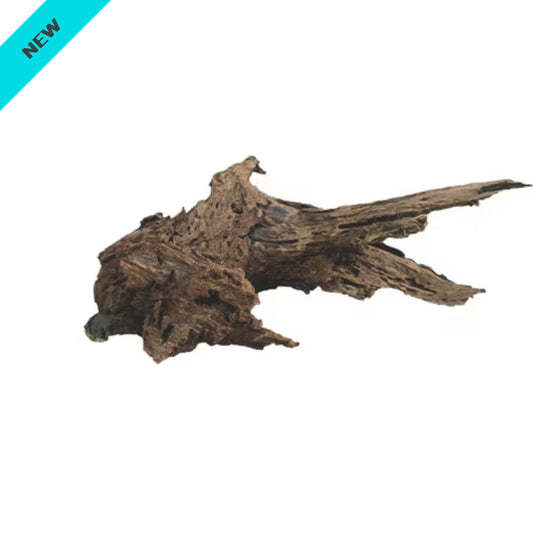 Driftwood Extra Large