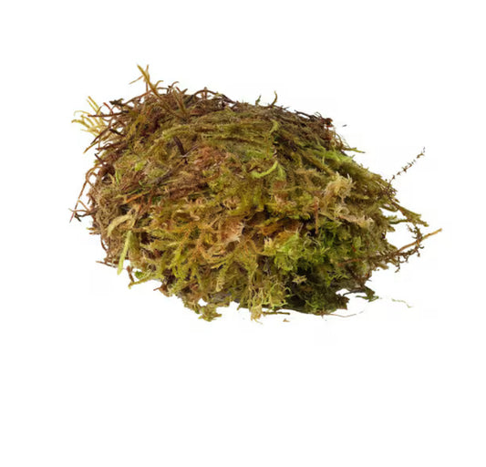 Habistat Sphagnum Moss - 1kg bag