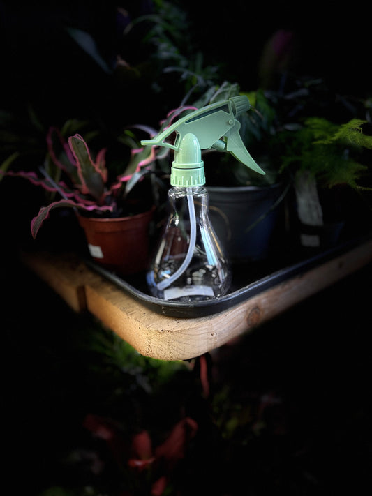 300ml Sprayer
