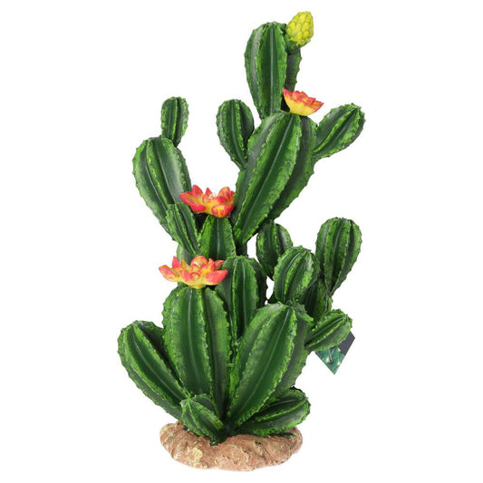 Flowering Cactus XL