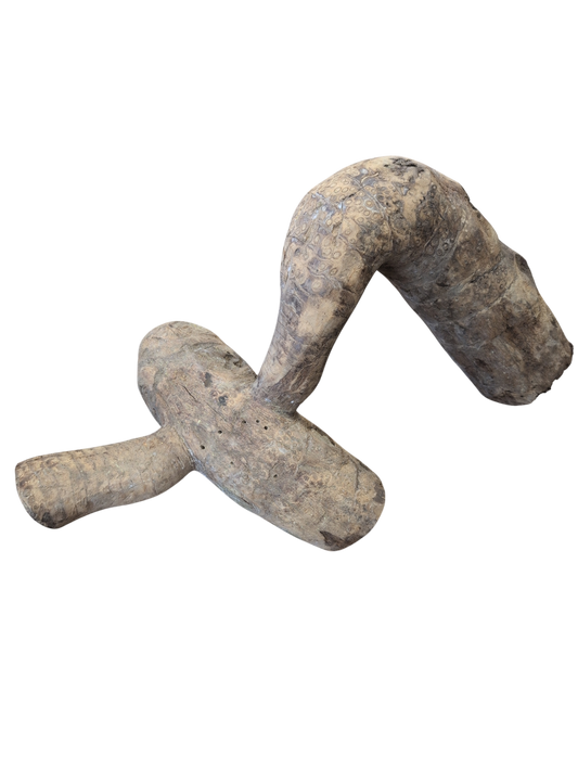 Bio Herp Bamboo Root