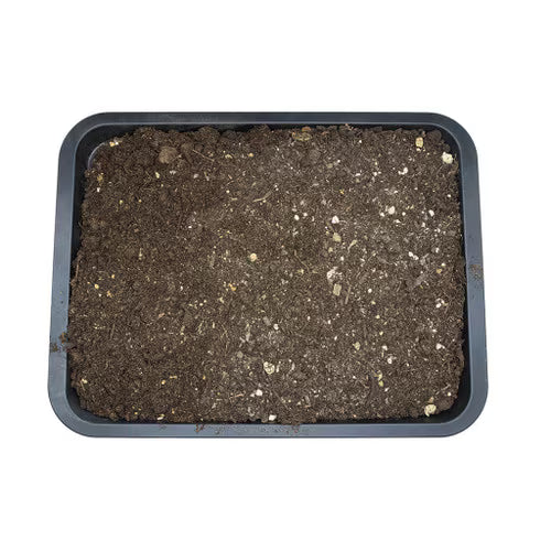 Arcadia EarthMix, 10 Litre