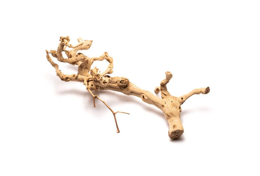 Bio Herp Sandblasted Grapevine XL 80-100cm