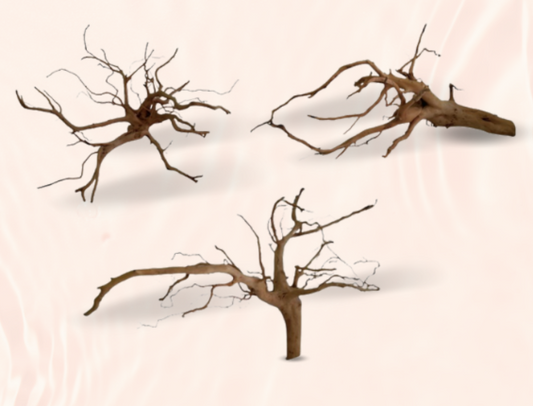 Spiderwood
