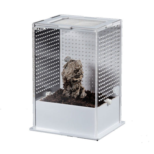 RZ White Base Insect Acrylic Box, 10×8.5x15cm