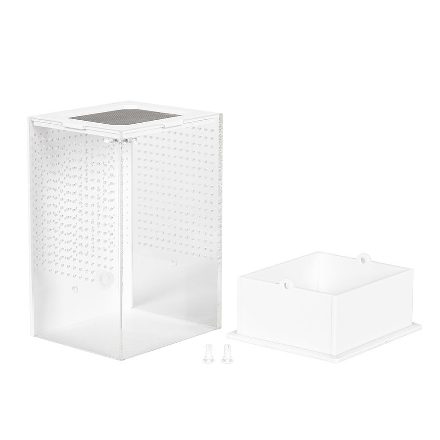 RZ White Base Insect Acrylic Box, 10×8.5x15cm